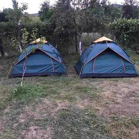 Camping In Clisura Dunarii Campsite *