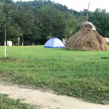 Campsite Camping In Clisura Dunarii *