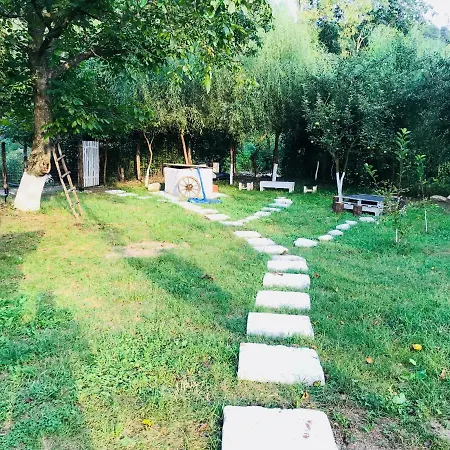 Camping In Clisura Dunarii *